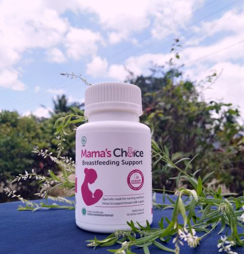 Review mama's choice breastfeeding support