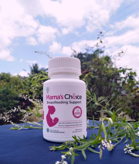Review mama's choice breastfeeding support